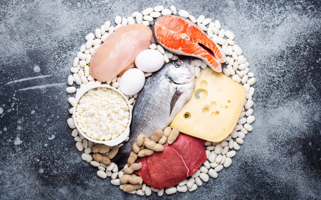Les protéines : les éléments constitutifs de la santé