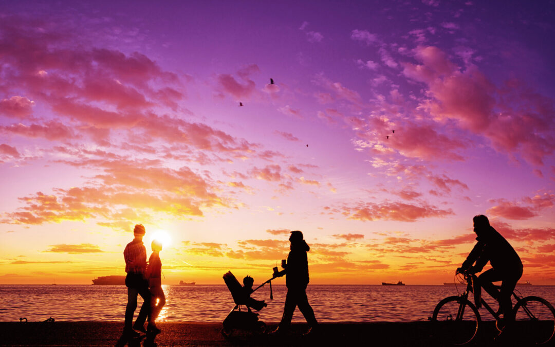 Micronutrients and Special Populations